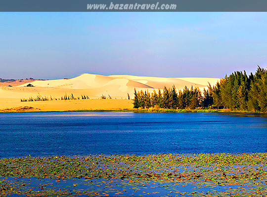 Bàu Sen Bàu Trắng Phan Thiết