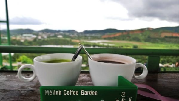 Vừa thưởng thức cà phê vừa ngắm cảnh tại Mê Linh Coffee Garden