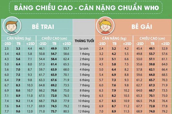 bang can nang tre so sinh who 600x400 - Bảng chỉ số cân nặng trẻ sơ sinh quan trọng và cần thiết như thế nào?