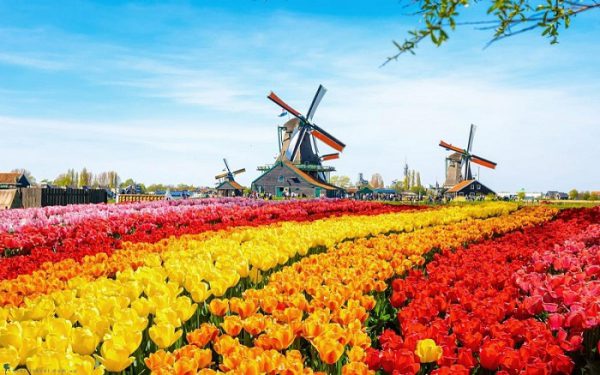 visa ha lan 600x375 - Xin visa Hà Lan 2022 cần hồ sơ gì và quy trình thế nào?